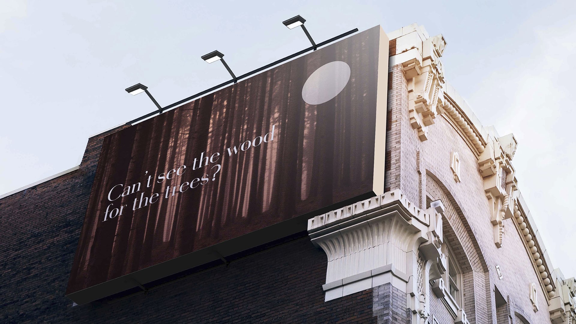 An image of a OOH advertising billboard design for a brand called Lost and Found. The design shows a forest and displays the words 'Can't see the wood for the trees?'