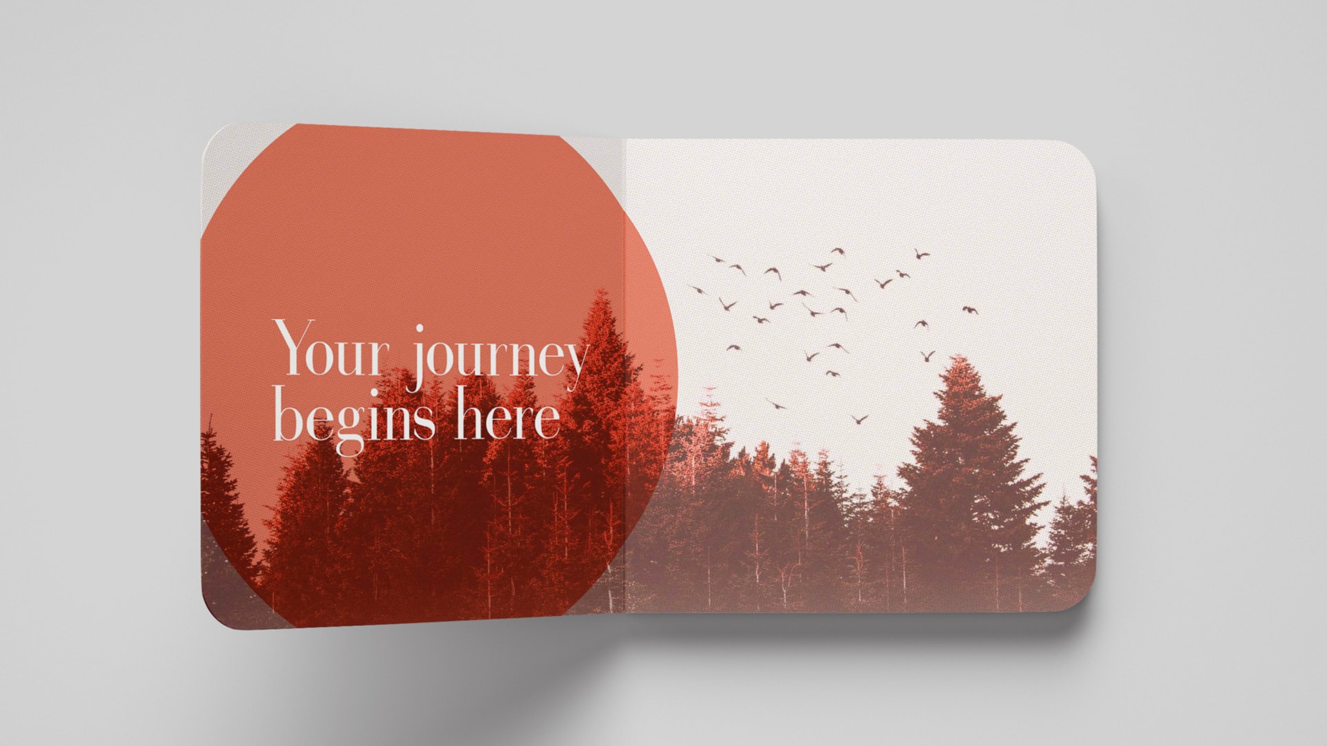 An image of an inside book cover design for a brand called Lost and Found. The design shows a forest and displays the words 'Your journey begins here'