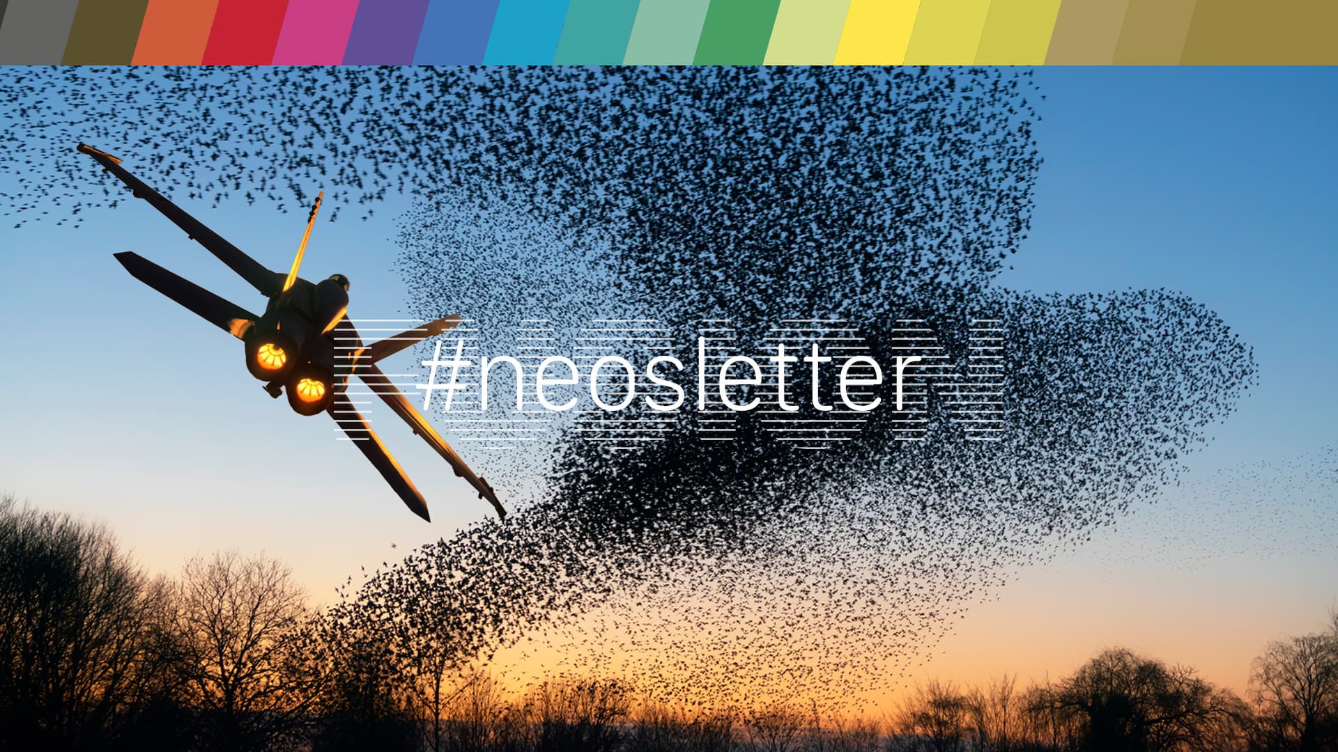 This surreal picture combines different subjects covered in the newsletter. It shows a lone fighter aircraft, used to symbolise a maverick creative person, flying into a flock of starlings, which symbolises creative collaboration.