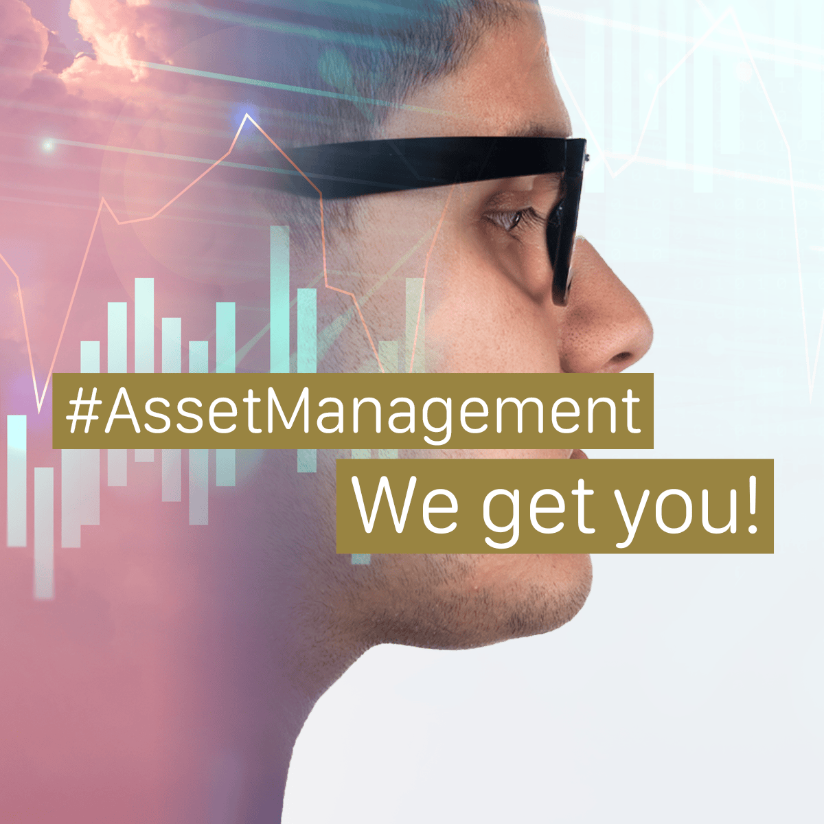 We Get You AssetManagement