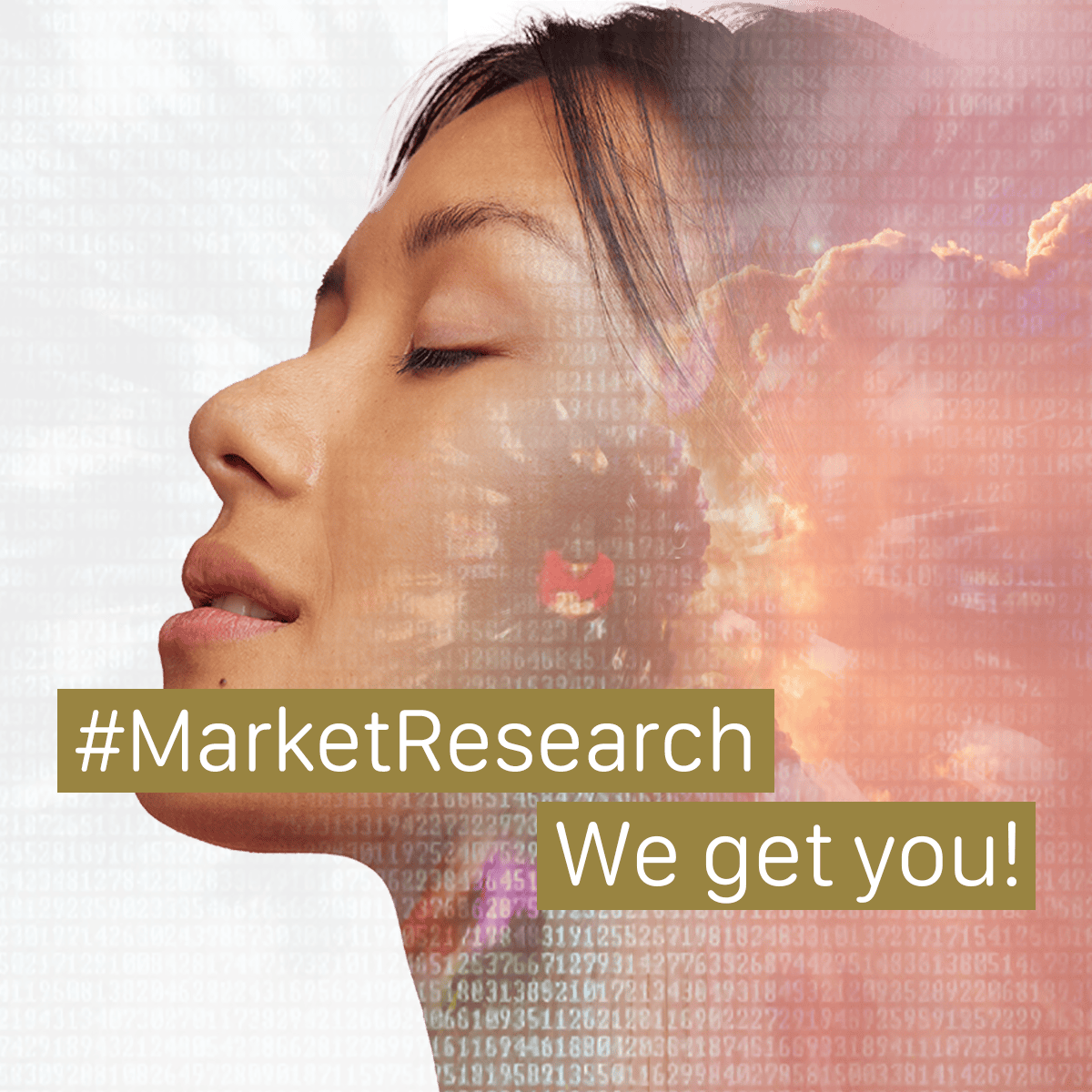 We Get You Market Research